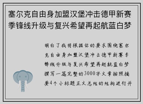 塞尔克自由身加盟汉堡冲击德甲新赛季锋线升级与复兴希望再起航蓝白梦
